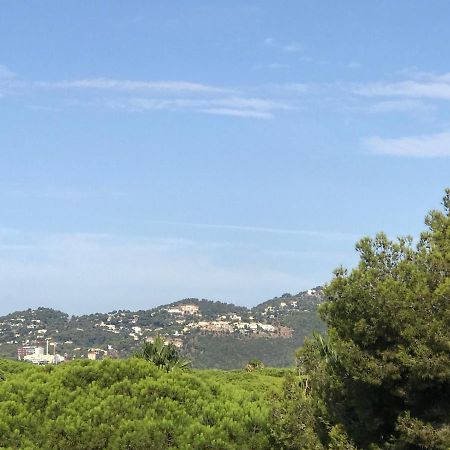 Appartement Maison Loubière à Hyères Extérieur photo