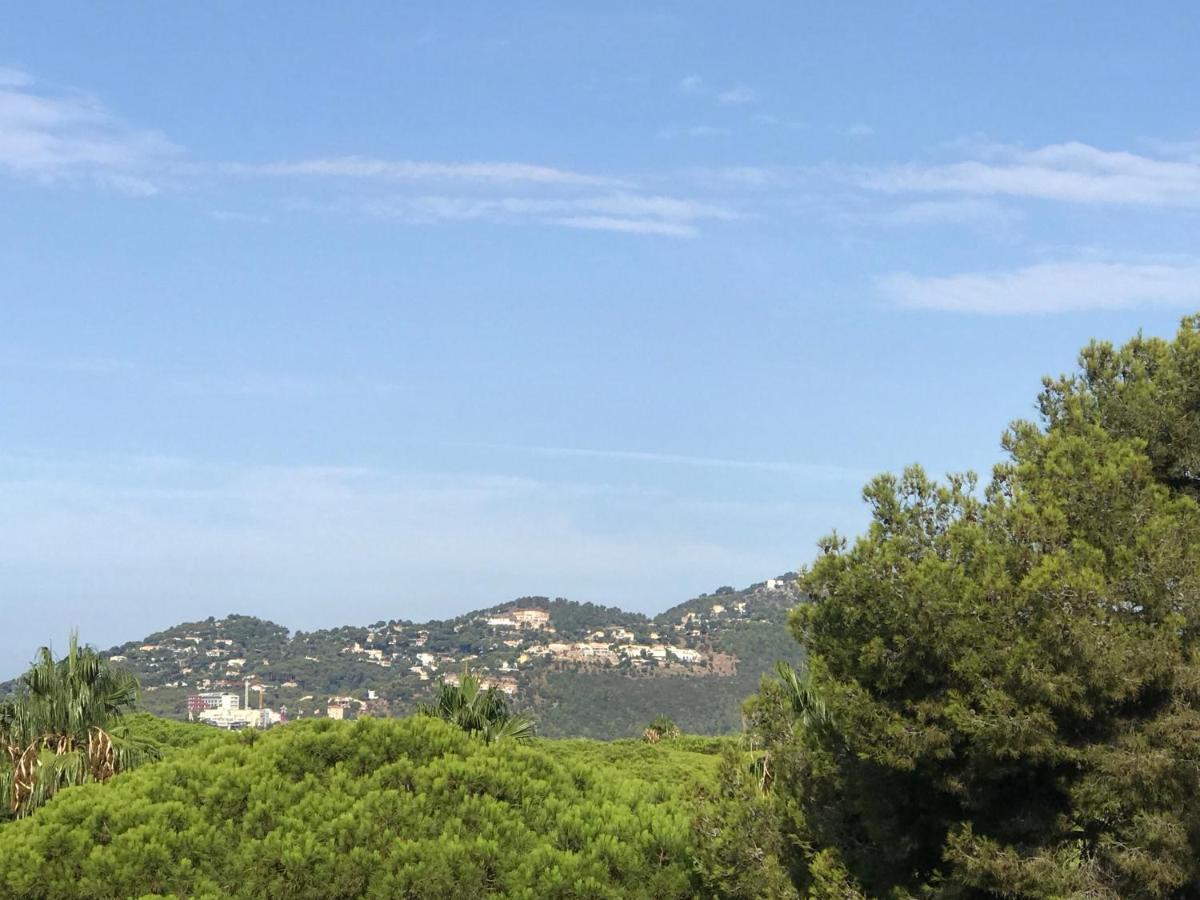 Appartement Maison Loubière à Hyères Extérieur photo